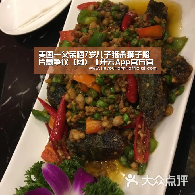 开云App官方官方入口