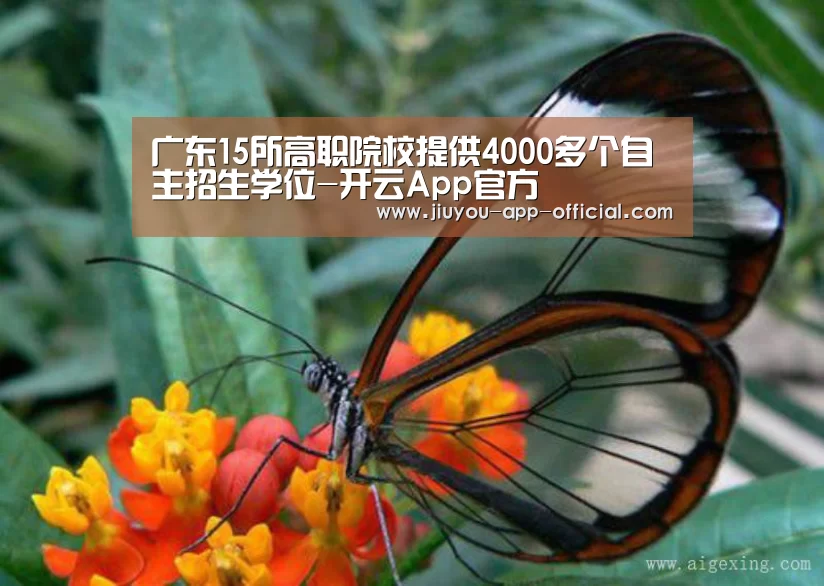 开云App官方官网