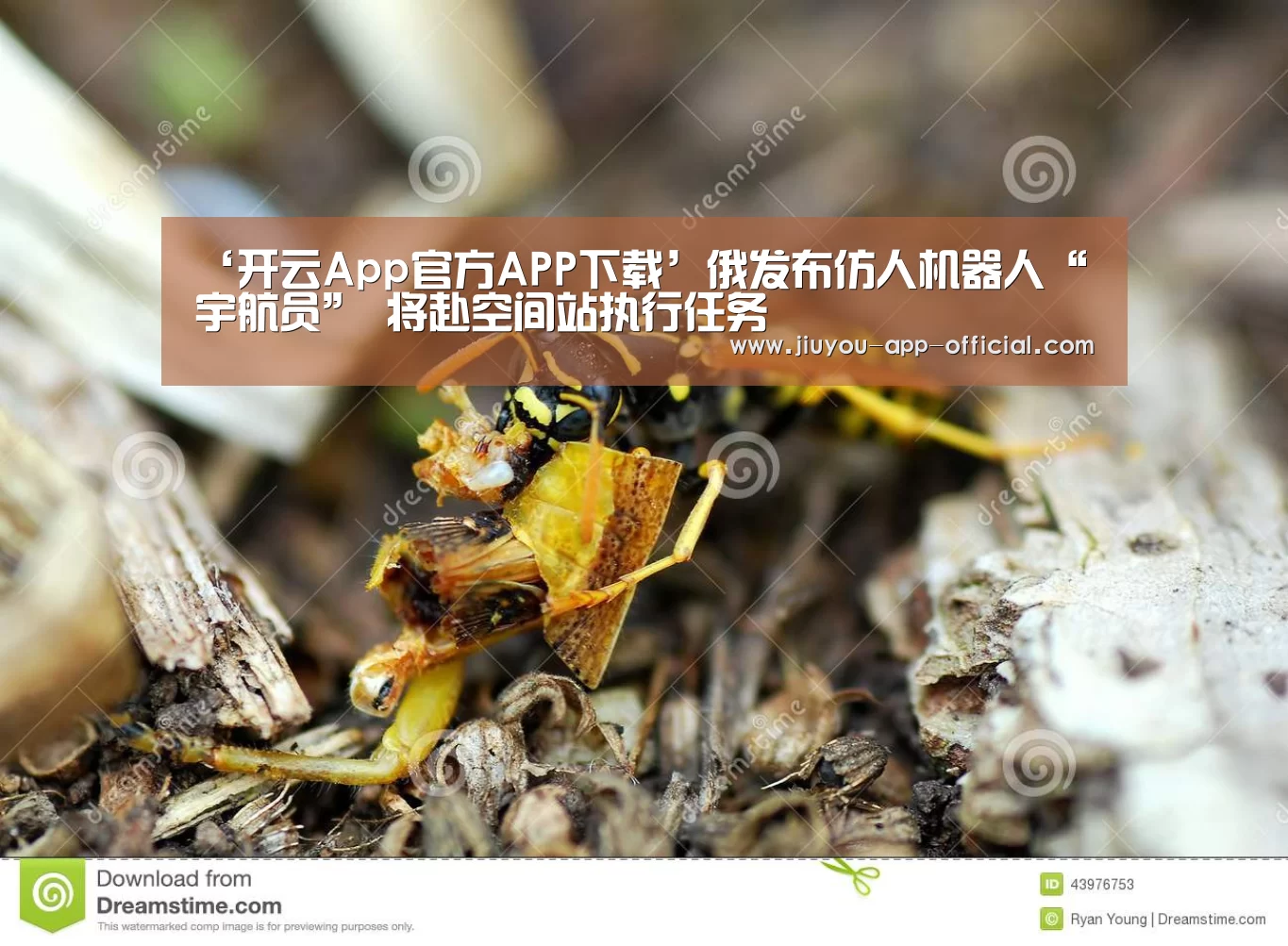 开云App官方