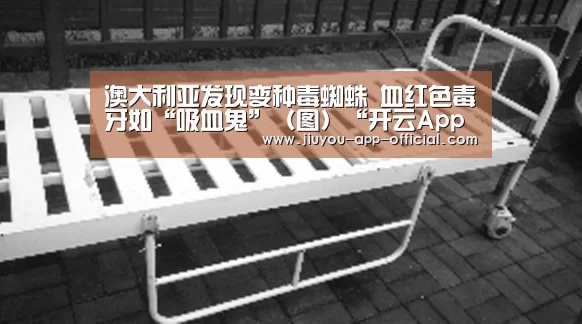 开云App官方