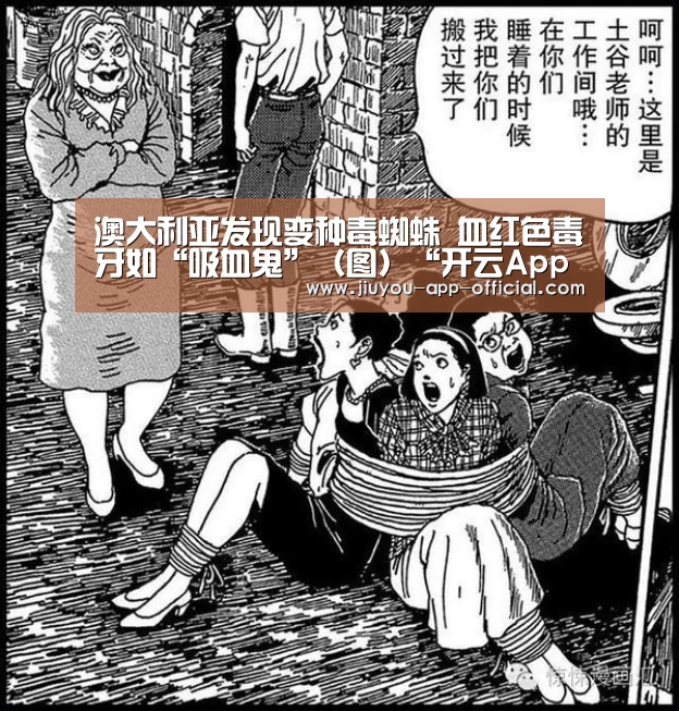 开云App官方官网