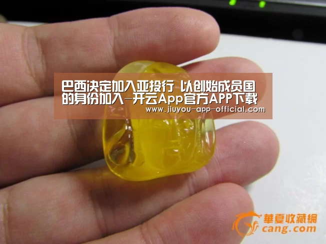巴西决定加入亚投行 以创始成员国的身份加入-开云App官方APP下载(图3) 开云App官方官方入口